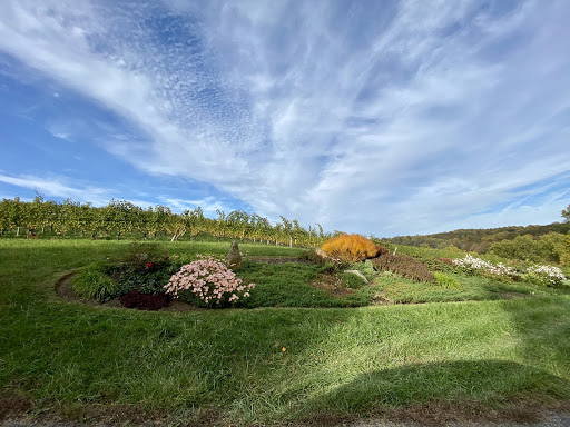 Vineyard «Linden Vineyards», reviews and photos, 3708 Harrels Corner Rd, Linden, VA 22642, USA