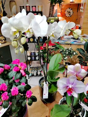 La Floria à Allevard