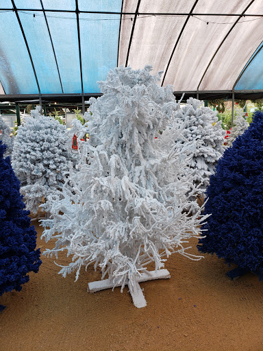 Plant Nursery «HOUSTON PLANTS & GARDEN WORLD», reviews and photos, 16726 North Fwy, Houston, TX 77090, USA