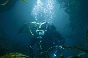 Bluedot diving image