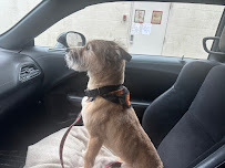 2 Paws Up - Photo 6 - Car repair in Cranston, RI, Providence