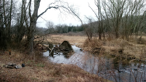 State Park «Goosepond Mountain State Park», reviews and photos, 1198 New York 17M, Chester, NY 10918, USA