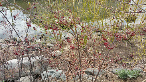 Park «Van Der Donck Park», reviews and photos, 41 Dock St, Yonkers, NY 10701, USA