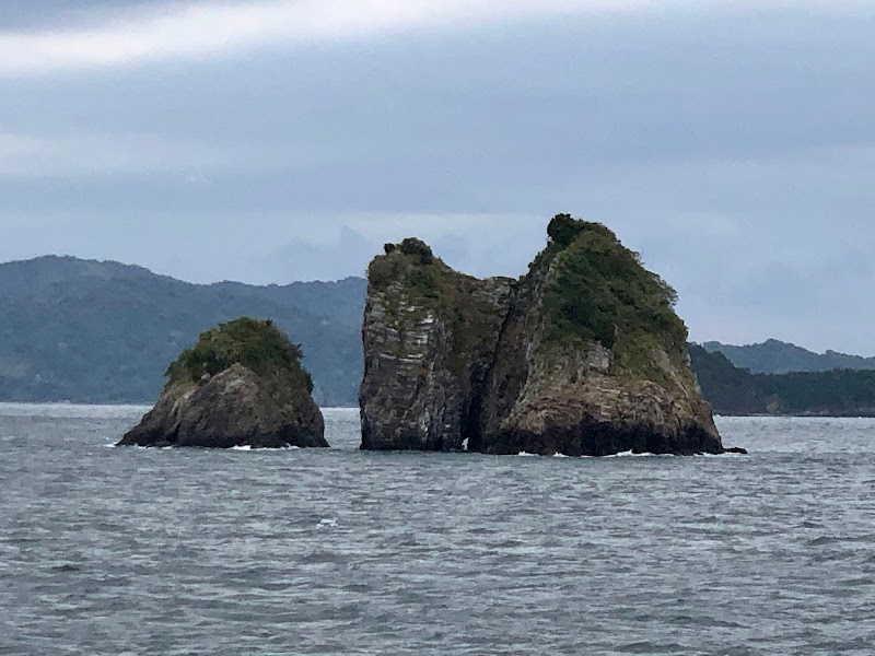 鴨脊島