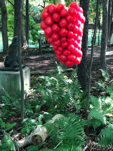 Gift Shop «Meijer Gardens Gift Shop», reviews and photos, 1000 E Beltline Ave NE, Grand Rapids, MI 49525, USA