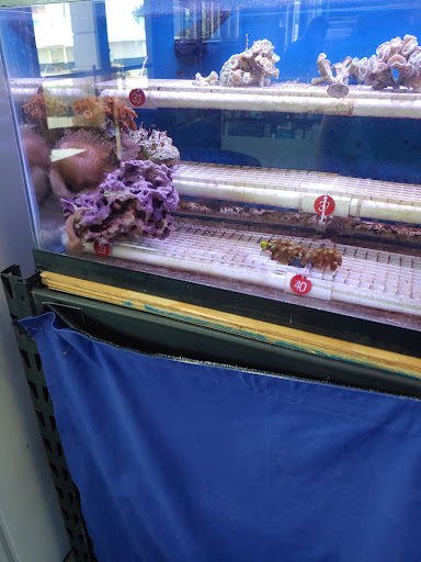 Tropical Fish Store «Richmond Aquarium», reviews and photos, 3645 Speeks Dr, Midlothian, VA 23112, USA