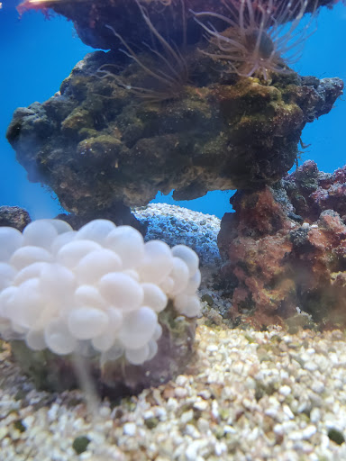 Pet Supply Store «Petco Animal Supplies», reviews and photos, 200 Center Blvd S, Christiana, DE 19702, USA