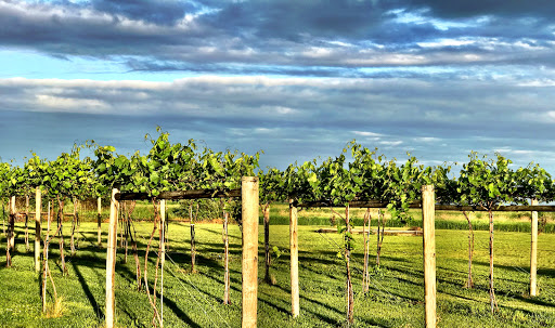 Winery «4e Winery», reviews and photos, 3766 156th Ave SE, Mapleton, ND 58059, USA