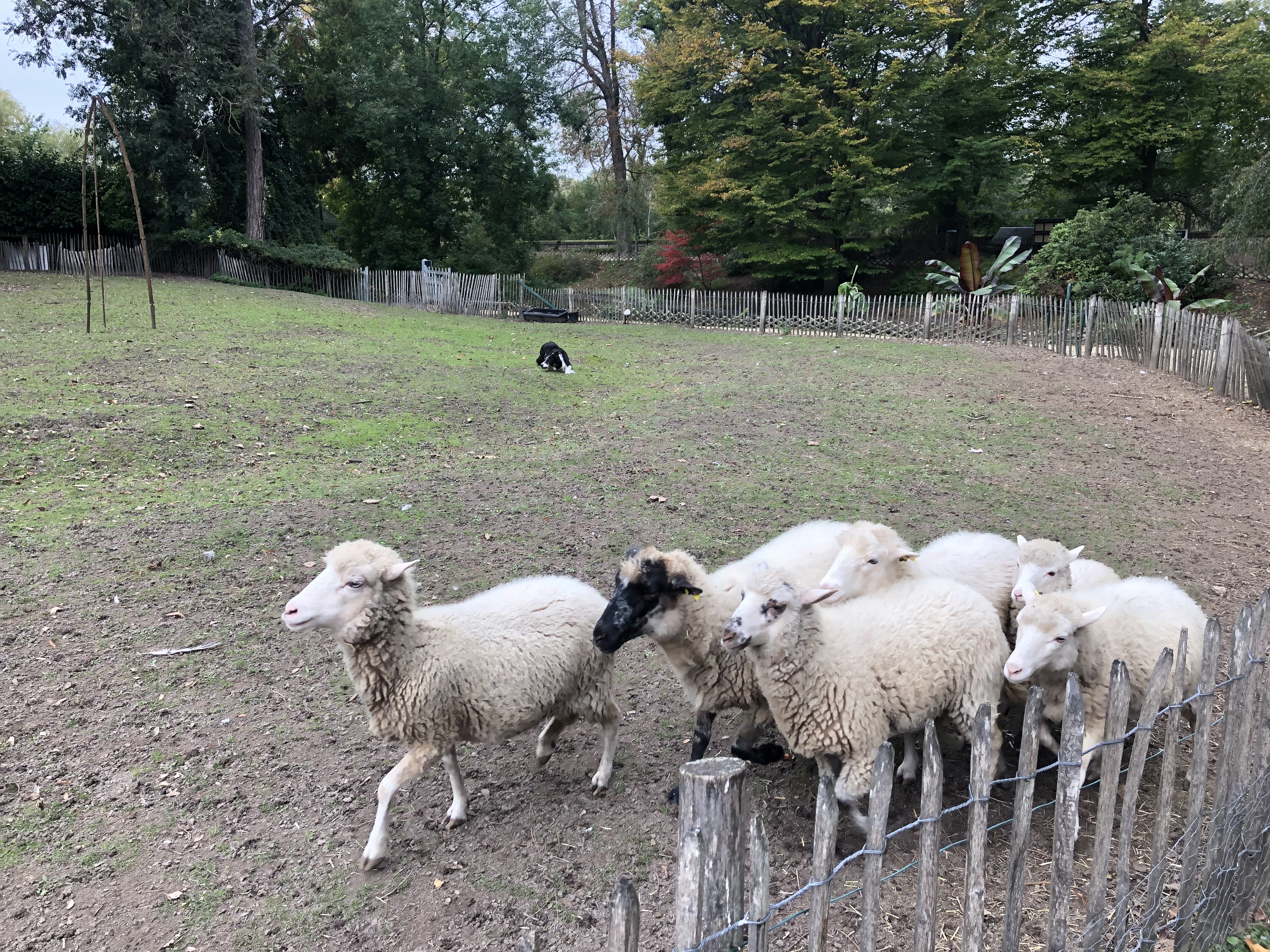 Photo n° 1 de l'avis de Olivier.k fait le 18/10/2020 à 18:11