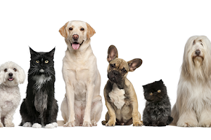 The Family Pet Clinic image