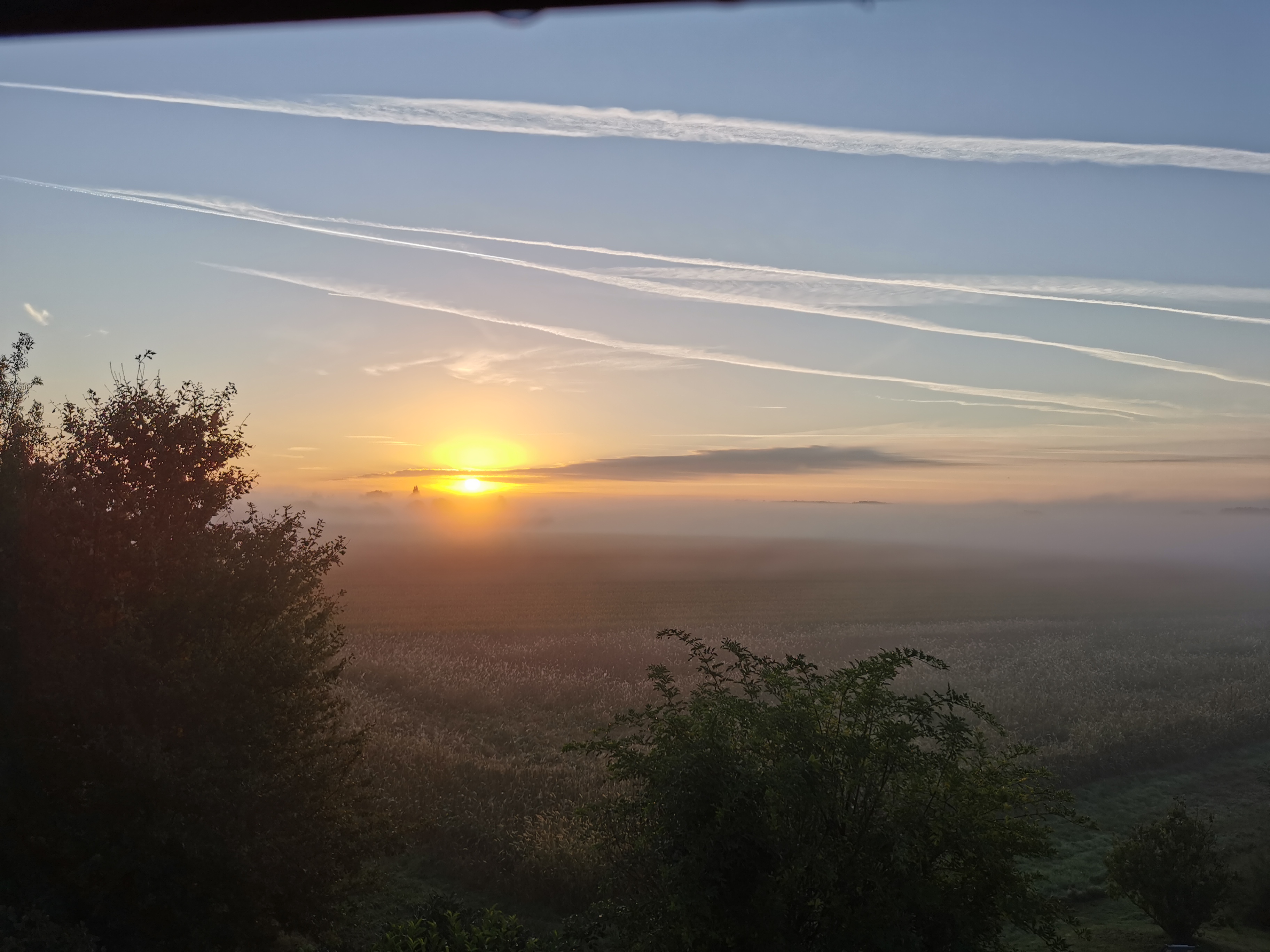 Photo n° 2 de l'avis de Elisa.a fait le 13/10/2021 à 16:03