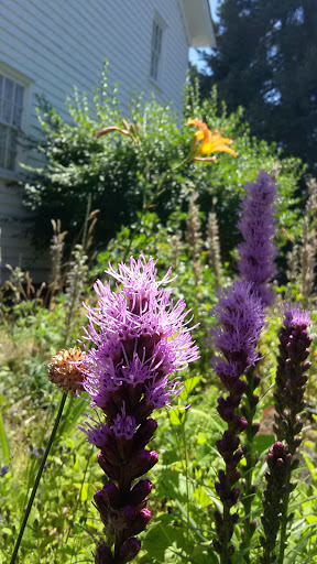 History Museum «Willamette Heritage Center», reviews and photos, 1313 Mill St SE, Salem, OR 97301, USA