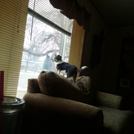 Fabric Store «Jo-Ann Fabrics and Crafts», reviews and photos, 4340 13th Ave S #101, Fargo, ND 58103, USA