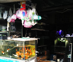 Lingga Aquarium photo