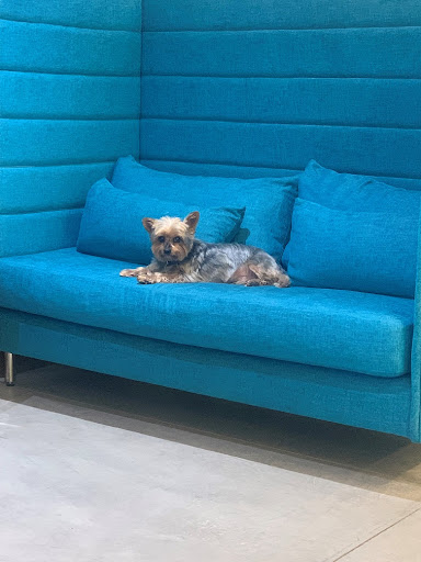 Personal Injury Attorney «Hale Injury Law», reviews and photos