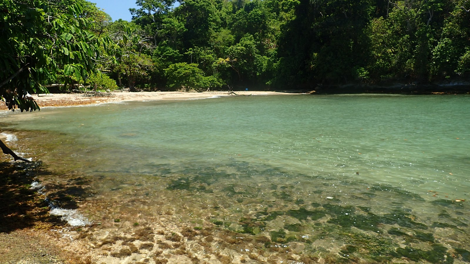 Foto von Tortuguilla Beach mit kleine bucht