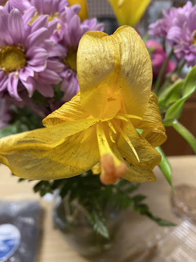 Florist «Frederick Florist», reviews and photos, 1816 Rosemont Ave, Frederick, MD 21702, USA