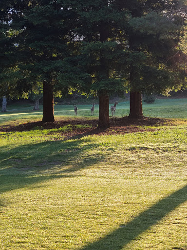 Golf Course «Deep Cliff Golf Course», reviews and photos, 10700 Club House Ln, Cupertino, CA 95014, USA