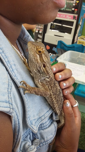 Pet Supply Store «Pet Supplies Plus», reviews and photos, 1970 Portage Trail, Cuyahoga Falls, OH 44223, USA