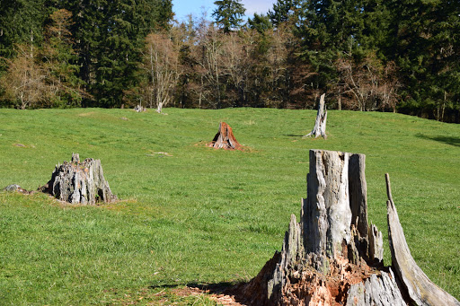 Zoo «Northwest Trek Wildlife Park», reviews and photos, 11610 Trek Dr E, Eatonville, WA 98328, USA