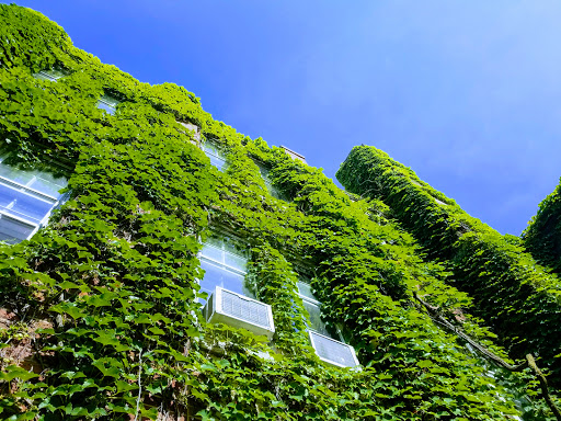 Book Store «Quest Book Shop», reviews and photos, 306 Geneva Rd, Wheaton, IL 60187, USA