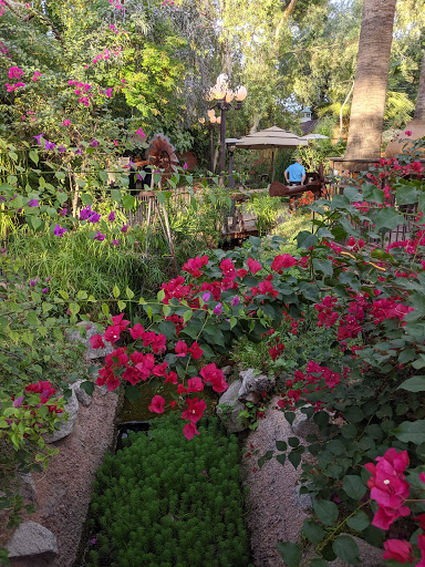 Wedding Venue «Boojum Tree», reviews and photos, 16026 N 36th St, Phoenix, AZ 85032, USA