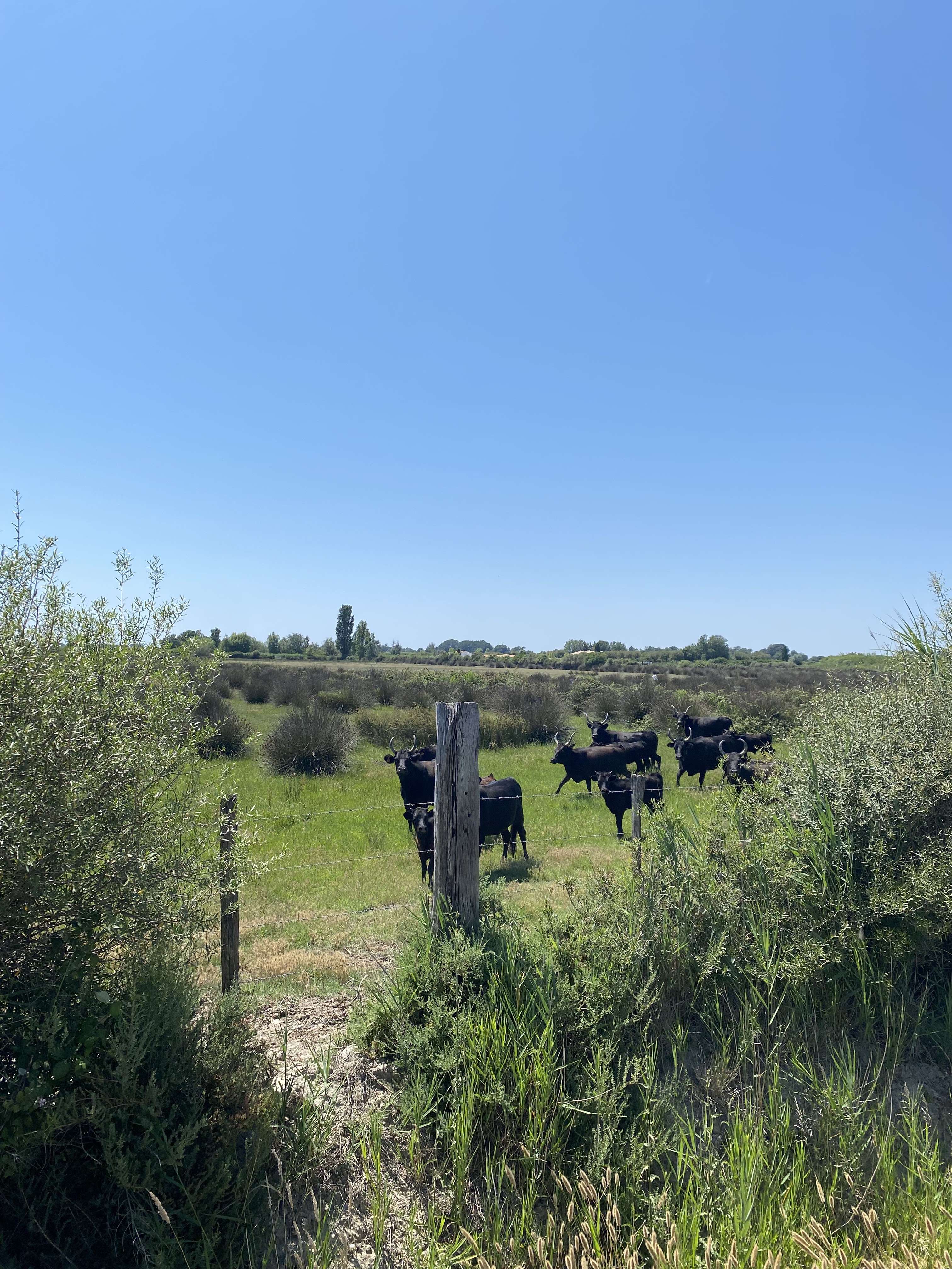 Photo n° 1 de l'avis de Nawrès.y fait le 24/06/2023 à 15:38