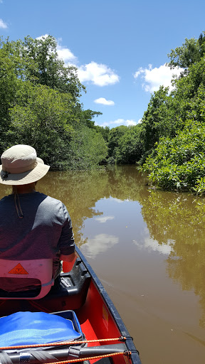 National Forest «Apalachicola National Forest», reviews and photos, Stateroad 13, Sopchoppy, FL 32358, USA