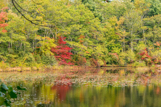 State Park «Borderland State Park», reviews and photos, 259 Massapoag Ave, North Easton, MA 02356, USA