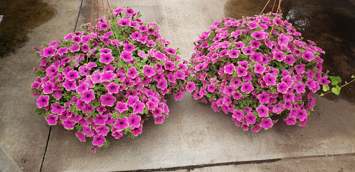 Florist «St. Clair Greenhouses & Florist», reviews and photos, 7043 Big Hand Rd, St Clair, MI 48079, USA