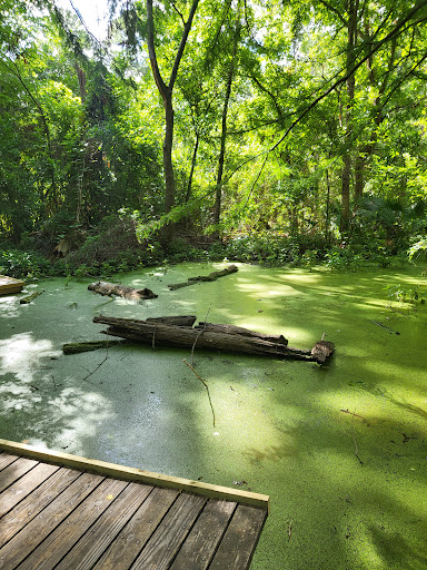 Park «Edith L Moore Nature Sanctuary», reviews and photos, 440 Wilchester Blvd, Houston, TX 77079, USA