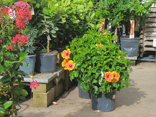 Home Improvement Store «The Home Depot», reviews and photos, 1694 W Indiantown Rd, Jupiter, FL 33458, USA