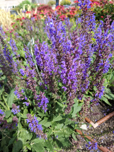 Park «Veterans Park», reviews and photos, 1 Naval Park Cove, Buffalo, NY 14202, USA