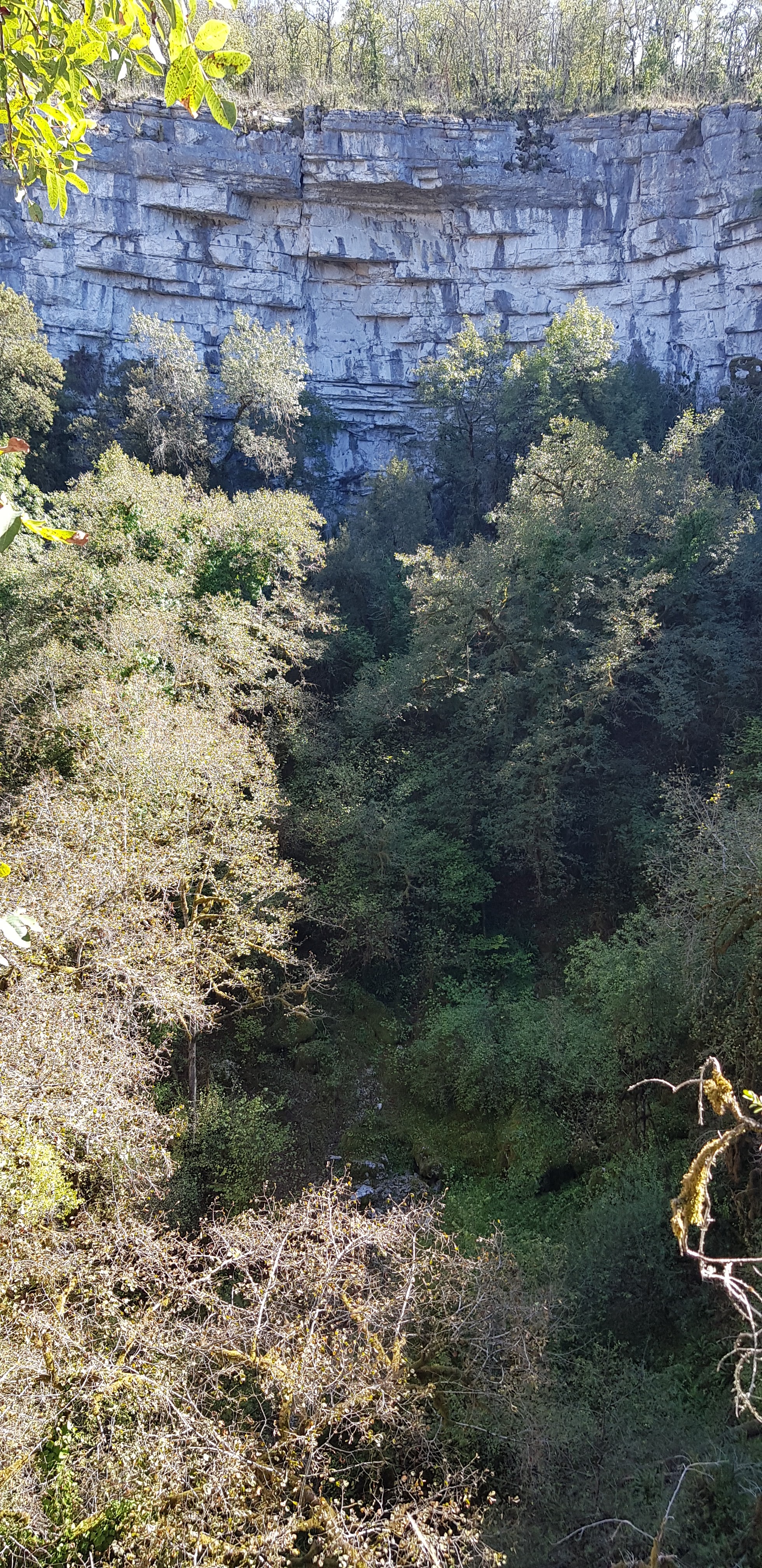Photo n° 1 de l'avis de jean-marc.e fait le 13/10/2023 à 12:28