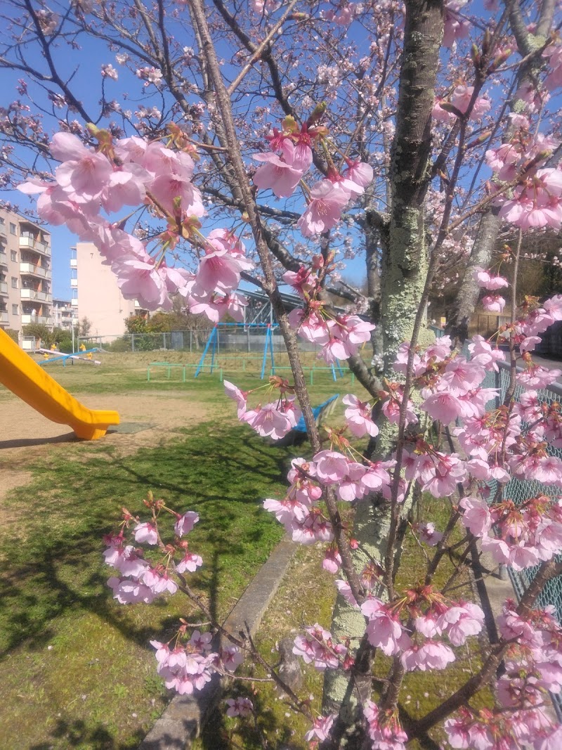 第2楠風台遊園