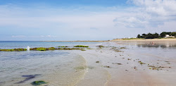 Plage des Sapins'in fotoğrafı - rahatlamayı sevenler arasında popüler bir yer