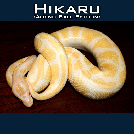 Insurance Agency «Wiglesworth-Rindom Insurance Agency», reviews and photos