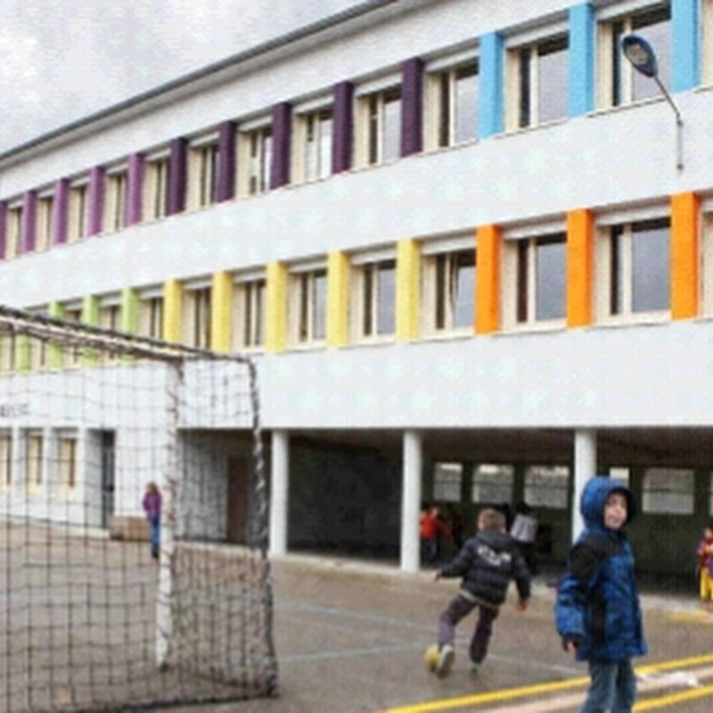 École Primaire Lons (39)