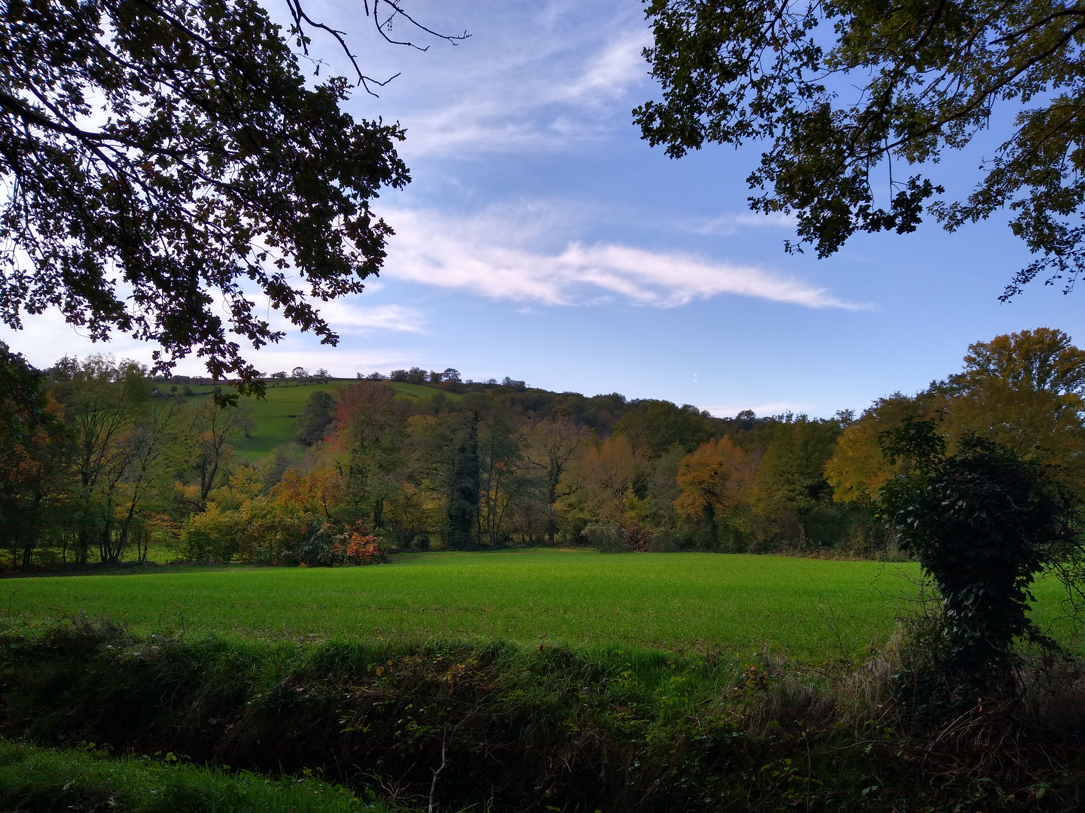 Photo n° 1 de l'avis de Nio.m fait le 22/11/2019 à 18:25