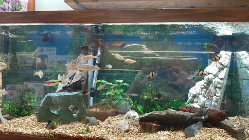 Pet Store «Just Pets», reviews and photos, 393 NY-5, Irving, NY 14081, USA