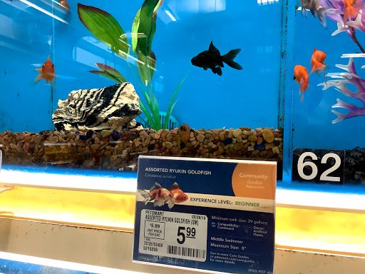 Pet Supply Store «PetSmart», reviews and photos, 1038 Crossings Blvd, Spring Hill, TN 37174, USA