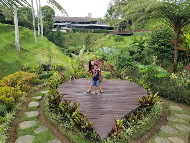 Kafe Tersembunyi di Kabupaten Tabanan: Menemukan Jumlah Tempat Menarik Tempat yang Mengagumkan