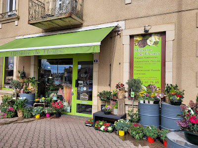 Histoire de fleurs à Pouilly-Sous-Charlieu