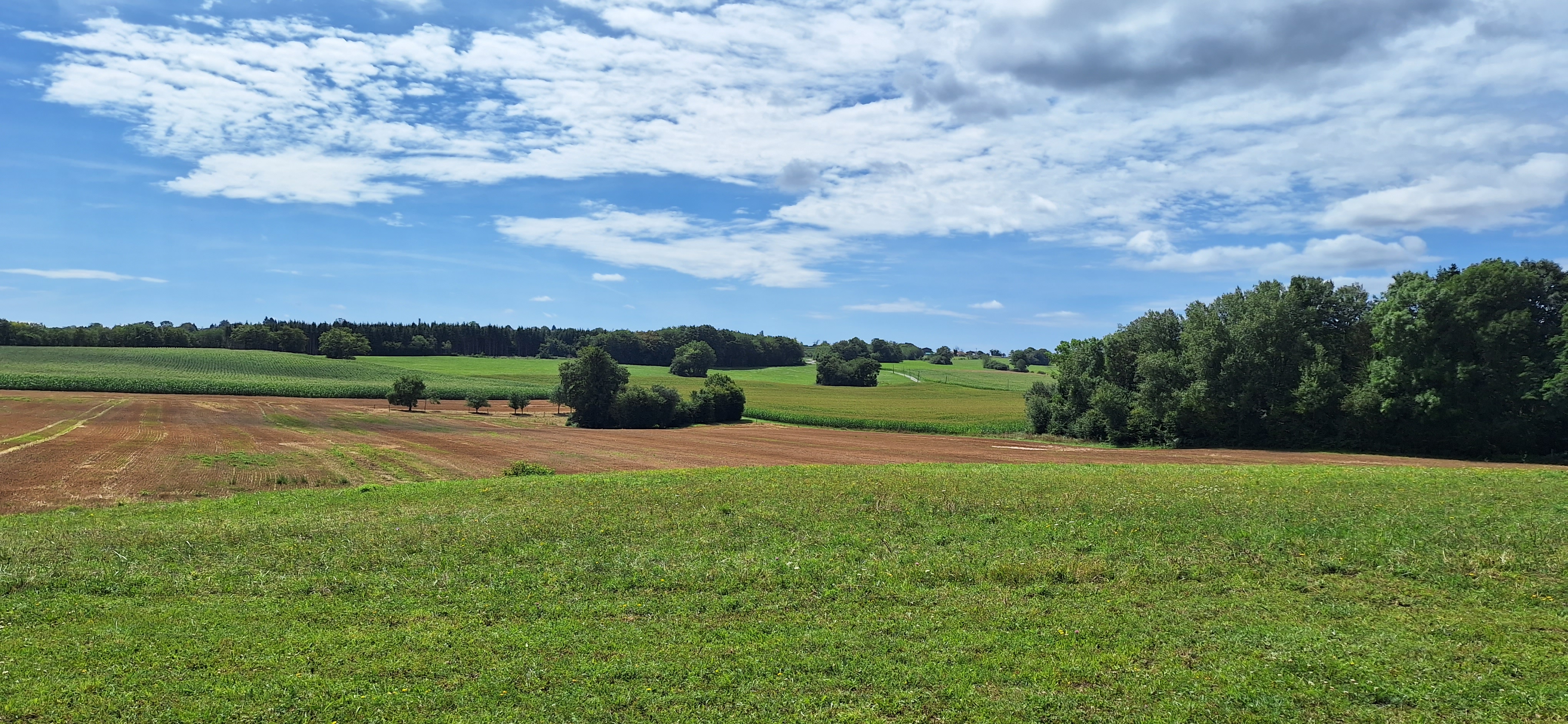Photo n° 3 de l'avis de Dennis.o fait le 06/08/2023 à 13:17