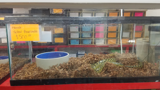Pet Store «S & S Exotic Animals Inc», reviews and photos, 1711 Connorvale Rd, Houston, TX 77039, USA