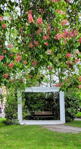 Opinii despre Kelly Degnan Translation în Clermont-Ferrand - Traducteur