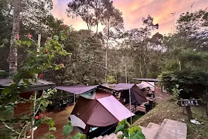 The HIJAU Camp & Cabin image