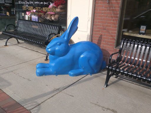 Book Store «Blue Bunny», reviews and photos, 577 High St, Dedham, MA 02026, USA
