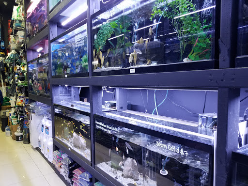 Pet Supply Store «Monster Aquarium Inc.», reviews and photos, 131-08 40 Rd, Flushing, NY 11354, USA