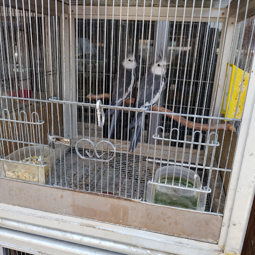 Animal Feed Store «Whittier Feed Store», reviews and photos, 12618 Penn St, Whittier, CA 90602, USA